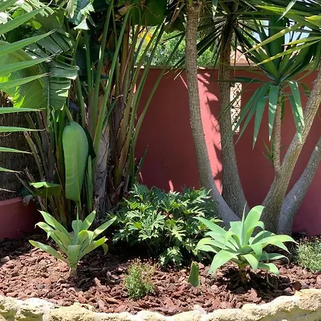 Casa Isimanuel Conil De La Frontera